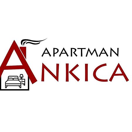 Apartman Ankica Голубац Экстерьер фото