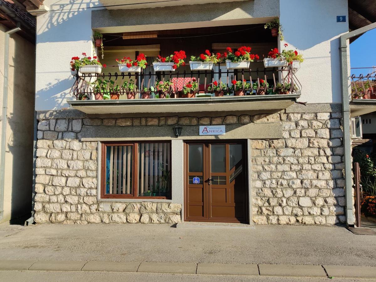 Apartman Ankica Голубац Экстерьер фото